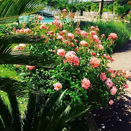 Sofia 4* Viterbo
